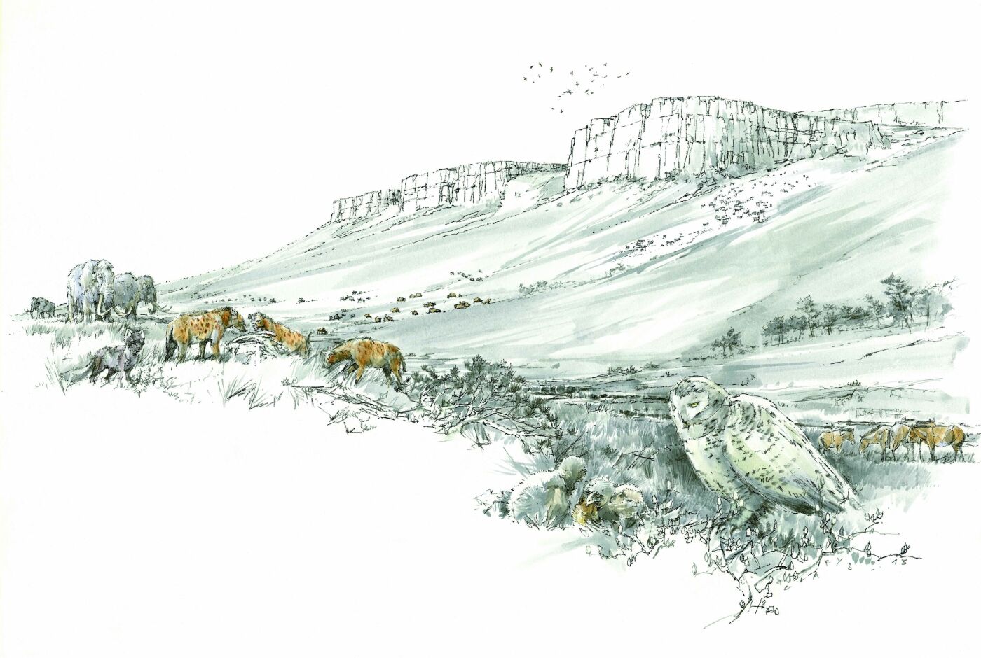 aven_de_l_arquet_illustration_benoit_clarys.jpg