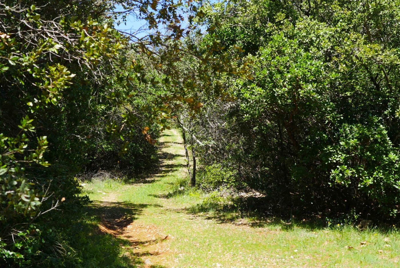 balade_nature_ardeche_famille_sentier_maubois.jpg