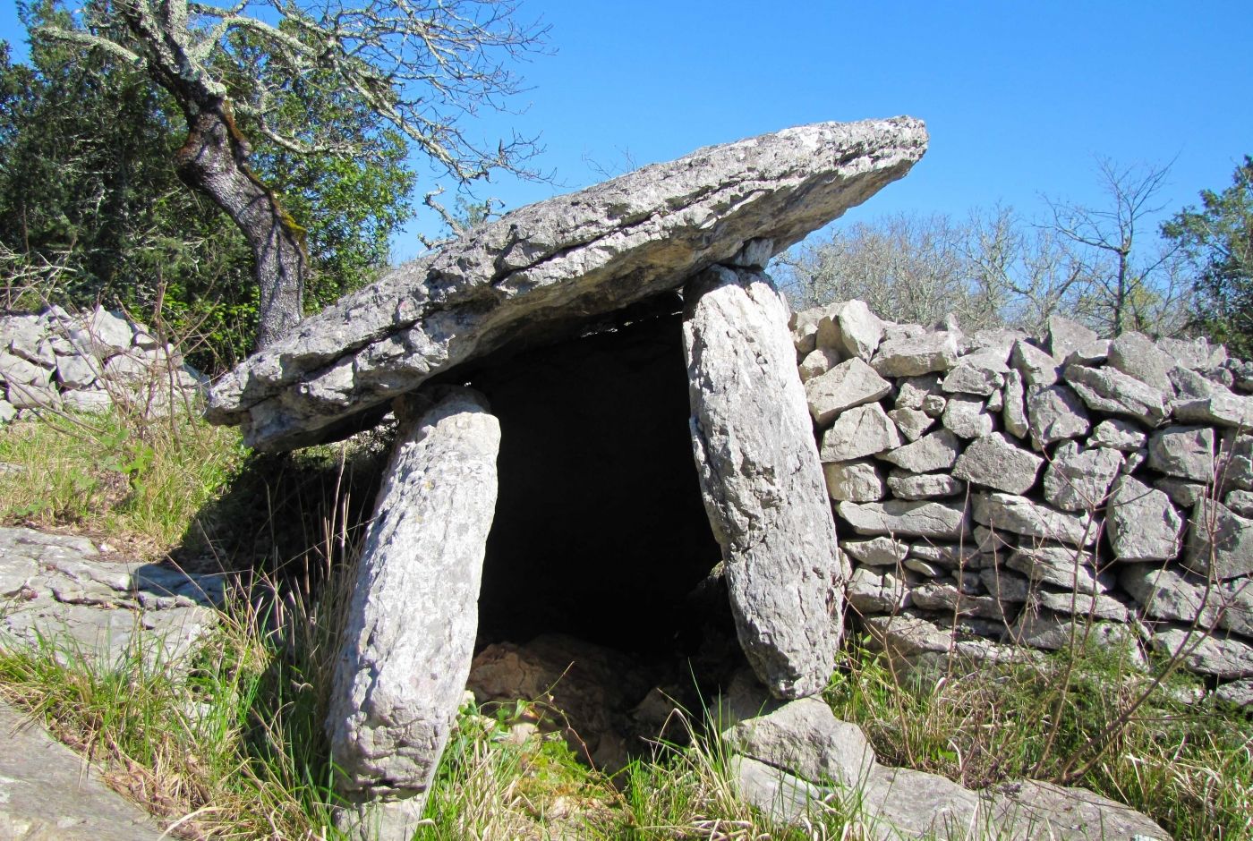 dolmen_randonnees_ardeche_cite_prehistoire_aven_orgnac.jpg