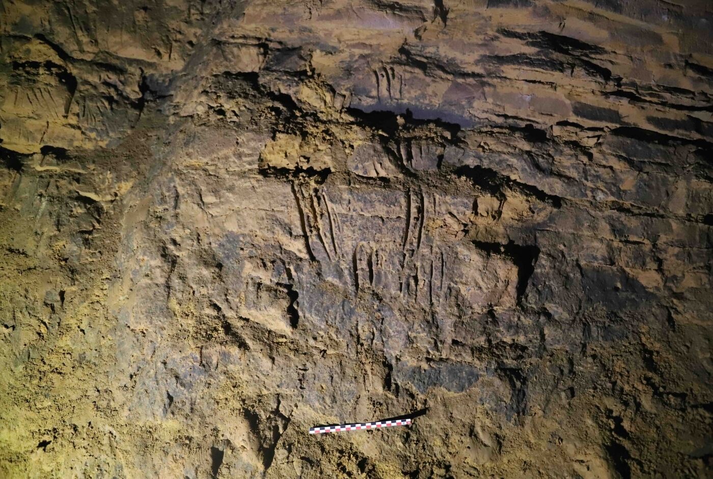 griffades-ours-galerie-du-lac_n-lateur.jpeg