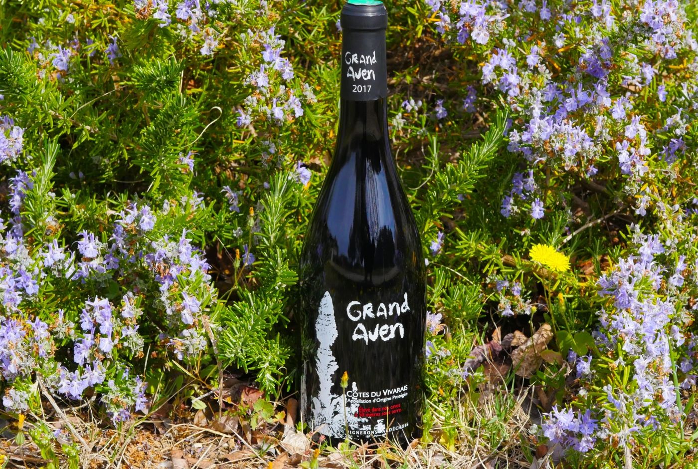 neovinum_ardeche_aven_orgnac_degustation_oenologique_credits_lisa_leandri.jpg