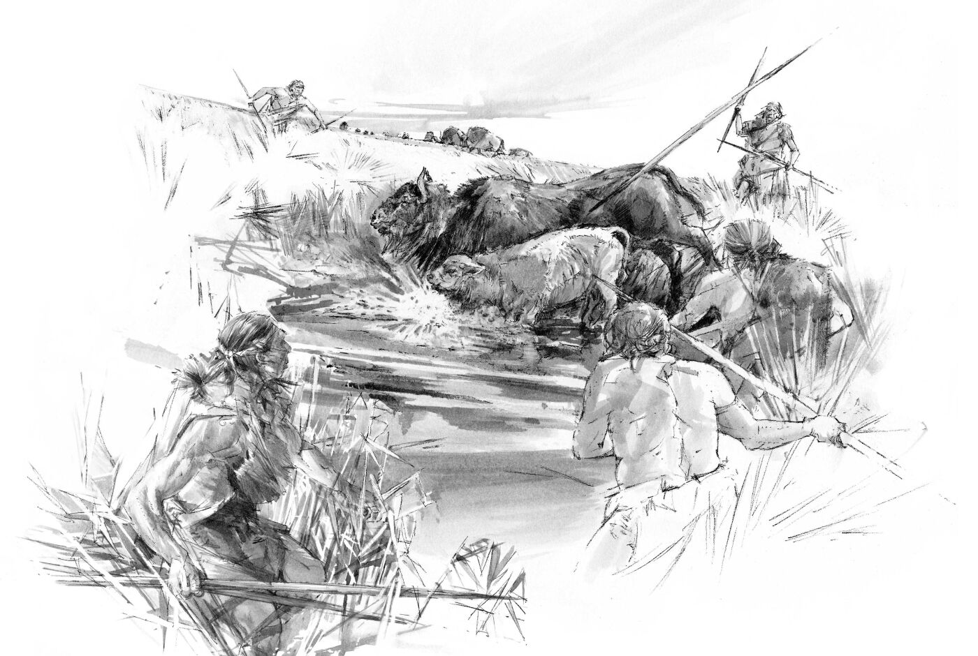 piegage_illustration_benoit_clarys.jpg