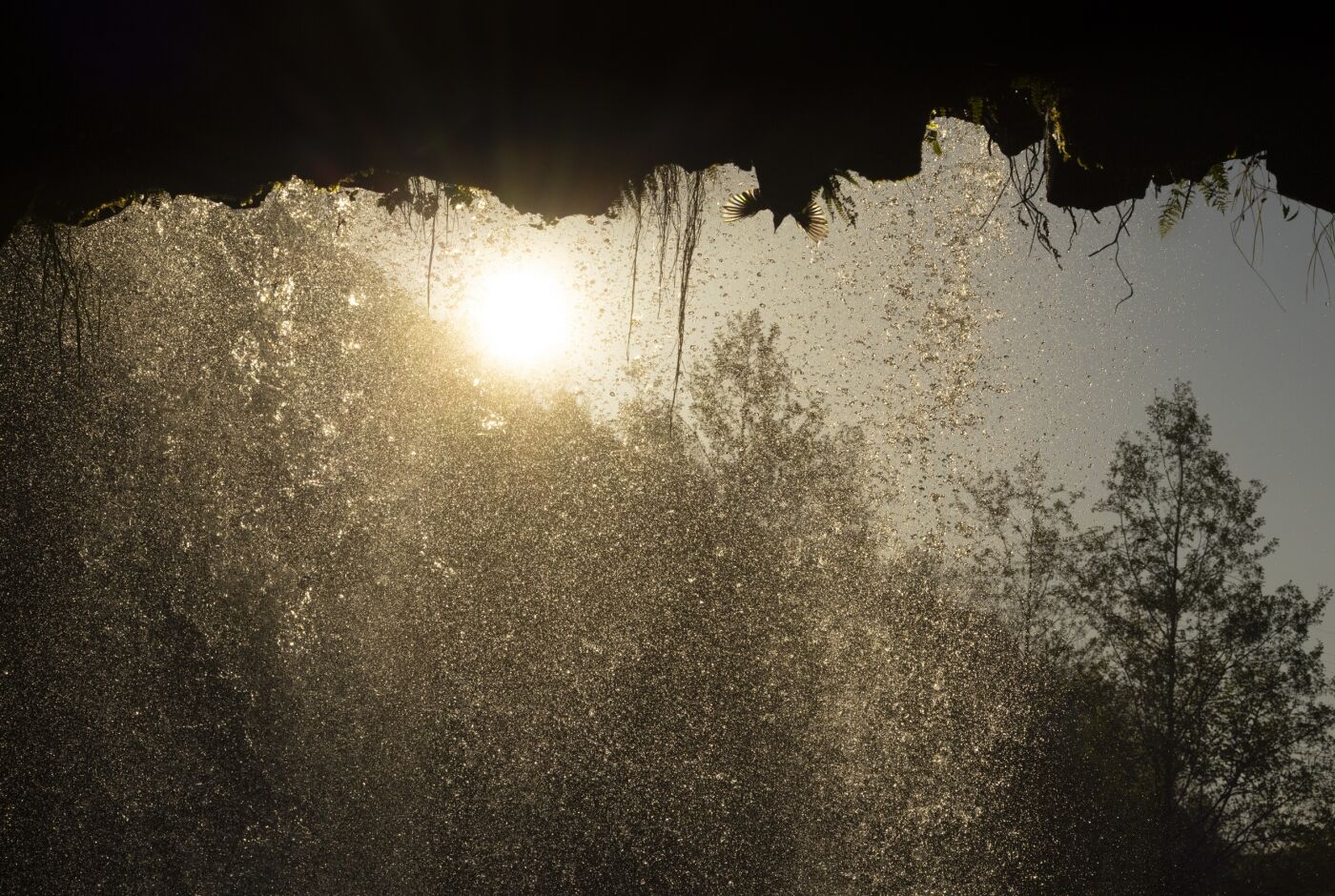 simon_bugnon_photographe_naturaliste_ardeche_conference_aven_orgnac(2).jpg