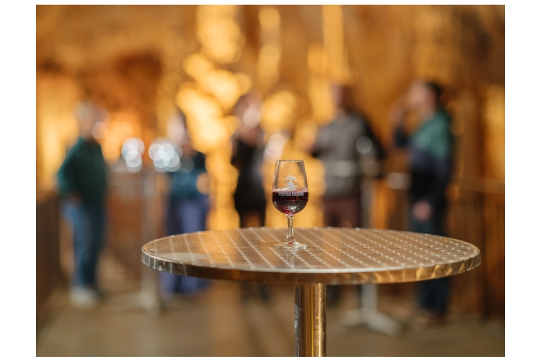 visites oenologqiues_dsf7959.jpg