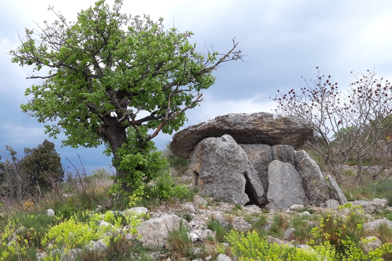 dolmen_ranc_d_avene_grospierres_web.jpg