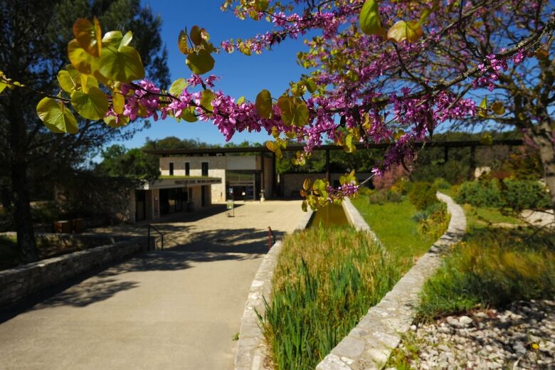 grotte_aven_d_orgnac_ardeche_credits_romain_alauzen_bd.jpg