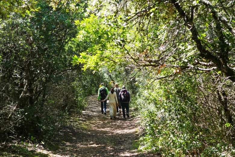 sentier_ardeche_balade_facile_nature.jpg